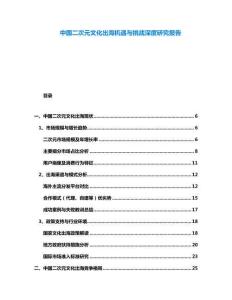 中國二次元文化出海機(jī)遇與挑戰(zhàn)深度研究報(bào)告
