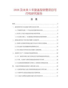 2026及未來5年旋蓋型軟管項(xiàng)目可行性研究報(bào)告