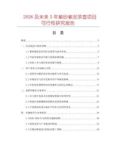2026及未來5年紫砂紫泥茶壺項目可行性研究報告