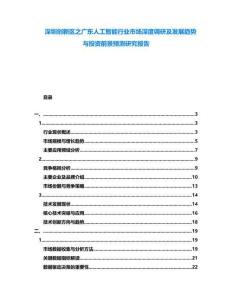 深圳創(chuàng)新區(qū)之廣東人工智能行業(yè)市場深度調(diào)研及發(fā)展趨勢與投資前景預(yù)測研究報告