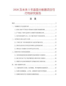 2026及未來5年畫面分割器項目可行性研究報告