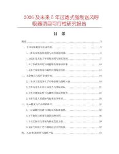 2026及未來5年過濾式強制送風呼吸器項目可行性研究報告