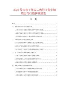 2026及未來5年雙二齒形B型中軸項目可行性研究報告