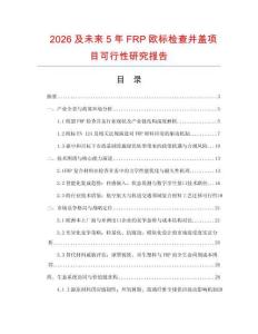 2026及未來5年FRP歐標(biāo)檢查井蓋項(xiàng)目可行性研究報(bào)告