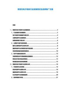 萊索托電子商務(wù)行業(yè)發(fā)展現(xiàn)狀及品牌推廣方案