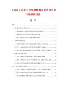 2026及未來5年聚醚醚酮壓墊件項目可行性研究報告