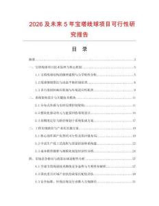 2026及未來(lái)5年寶塔線(xiàn)球項(xiàng)目可行性研究報(bào)告