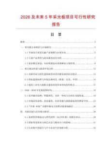 2026及未來5年采光板項目可行性研究報告