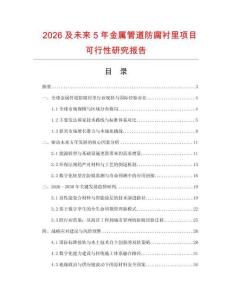 2026及未來5年金屬管道防腐襯里項目可行性研究報告