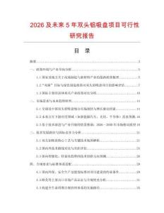 2026及未來(lái)5年雙頭鋁吸盤(pán)項(xiàng)目可行性研究報(bào)告