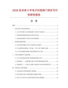 2026及未來5年電子時控閥門項目可行性研究報告