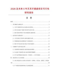 2026及未來5年叉耳手提袋項(xiàng)目可行性研究報(bào)告