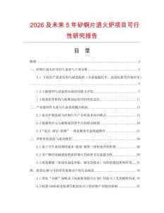 2026及未來5年矽鋼片退火爐項目可行性研究報告