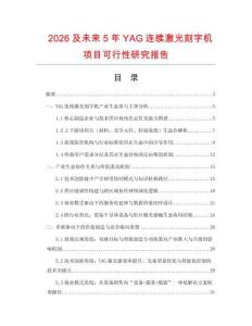 2026及未來5年YAG連續(xù)激光刻字機項目可行性研究報告