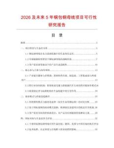 2026及未來5年銅包鋼母線項目可行性研究報告