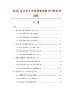 2026及未來5年領(lǐng)底呢項目可行性研究報告