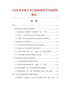 2026及未來5年乙炔閥項目可行性研究報告