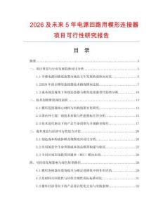 2026及未來5年電源回路用楔形連接器項目可行性研究報告
