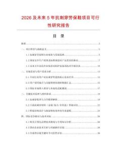2026及未來5年抗刺穿勞保鞋項目可行性研究報告