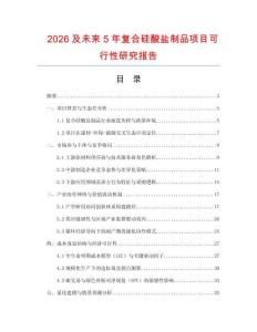 2026及未來5年復合硅酸鹽制品項目可行性研究報告