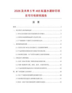 2026及未來5年465缸蓋水道砂芯項目可行性研究報告