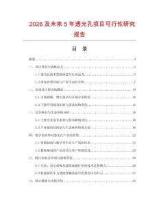 2026及未來5年透光孔項目可行性研究報告