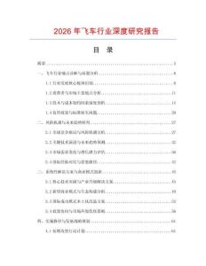 2026年飛車行業(yè)深度研究報告