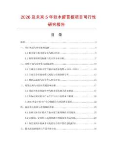 2026及未來(lái)5年軟木留言板項(xiàng)目可行性研究報(bào)告