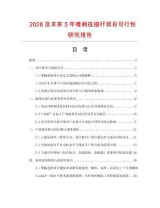 2026及未來5年錐柄連接桿項目可行性研究報告