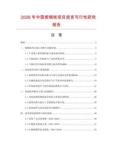 2026年中國紫銅線項目投資可行性研究報告