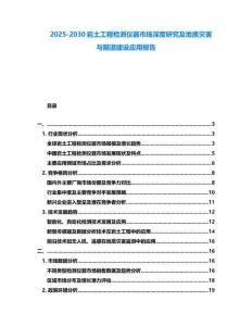 2025-2030巖土工程檢測(cè)儀器市場(chǎng)深度研究及地質(zhì)災(zāi)害與隧道建設(shè)應(yīng)用報(bào)告