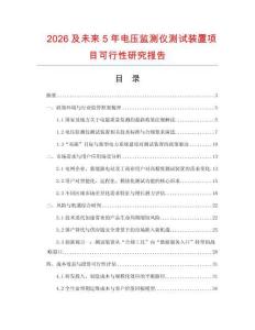 2026及未來5年電壓監(jiān)測儀測試裝置項目可行性研究報告