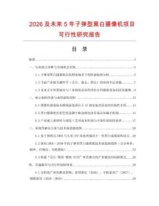 2026及未來5年子彈型黑白攝像機項目可行性研究報告