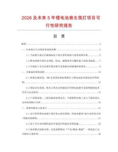 2026及未來5年鋰電池救生筏燈項目可行性研究報告