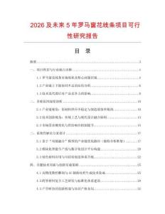 2026及未來5年羅馬窗花線條項(xiàng)目可行性研究報(bào)告