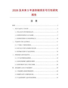 2026及未來5年迷你削項目可行性研究報告