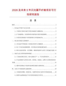 2026及未來5年閃光扁平纖維項目可行性研究報告