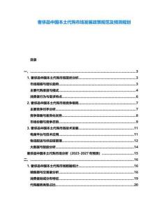 奢侈品中國本土代購市場發(fā)展政策規(guī)范及預(yù)測規(guī)劃