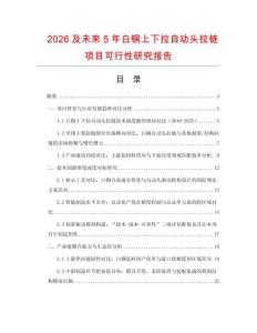 2026及未來5年白銅上下拉自動頭拉鏈項目可行性研究報告