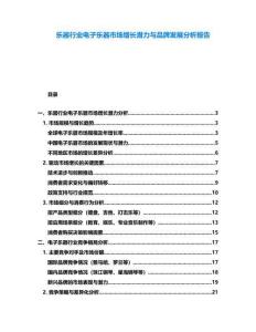 樂器行業(yè)電子樂器市場增長潛力與品牌發(fā)展分析報告