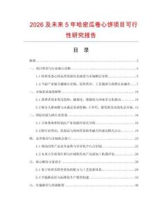 2026及未來5年哈密瓜卷心餅項(xiàng)目可行性研究報(bào)告