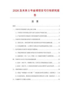 2026及未來(lái)5年壘球項(xiàng)目可行性研究報(bào)告