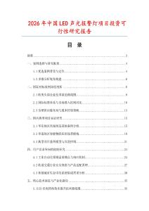 2026年中國LED聲光報警燈項目投資可行性研究報告