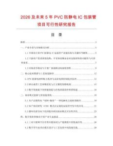 2026及未來5年P(guān)VC防靜電IC包裝管項目可行性研究報告