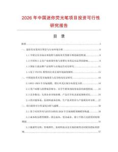 2026年中國迷你熒光筆項目投資可行性研究報告
