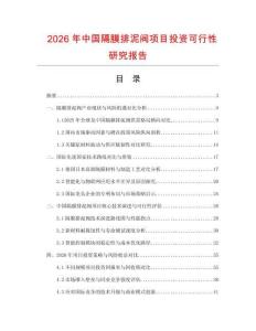 2026年中國隔膜排泥閥項目投資可行性研究報告