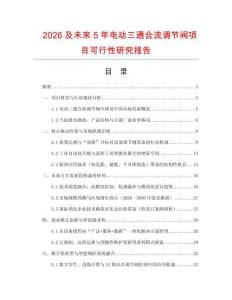 2026及未來(lái)5年電動(dòng)三通合流調(diào)節(jié)閥項(xiàng)目可行性研究報(bào)告