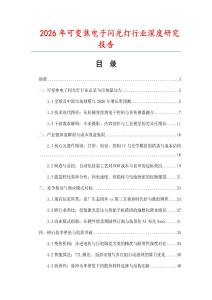 2026年可變焦電子閃光燈行業(yè)深度研究報(bào)告
