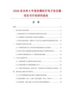 2026及未來5年漸變霓虹燈電子變壓器項目可行性研究報告