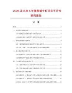 2026及未來5年微型蝸牛燈項目可行性研究報告